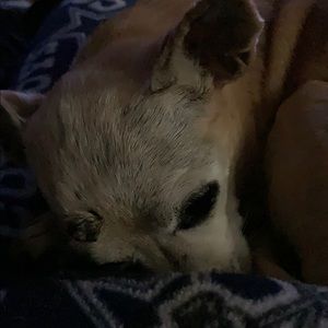 Meet your Posher, Janette